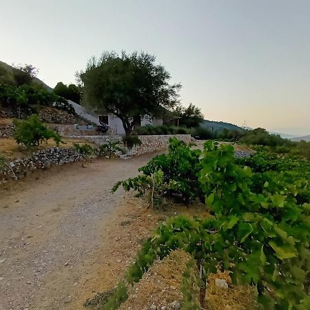 Perachori Οίνου Γη Ιθάκη - Winelandithacaヴィラ エクステリア 写真