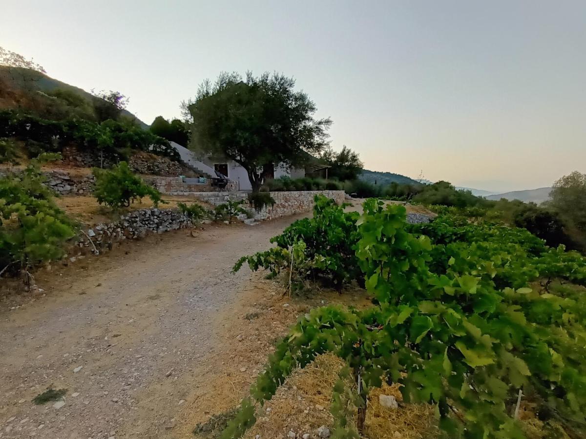 Perachori Οίνου Γη Ιθάκη - Winelandithacaヴィラ エクステリア 写真