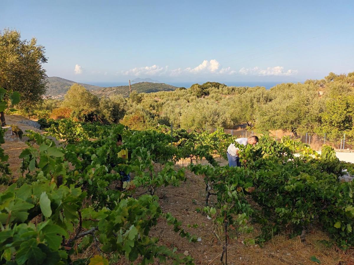 Perachori Οίνου Γη Ιθάκη - Winelandithacaヴィラ エクステリア 写真