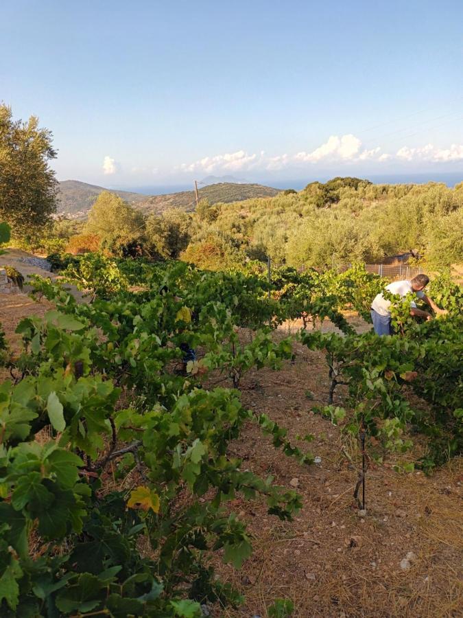 Perachori Οίνου Γη Ιθάκη - Winelandithacaヴィラ エクステリア 写真